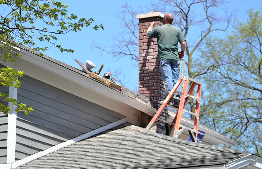 Chimney & Fireplace Inspections Services in Westmont, IL